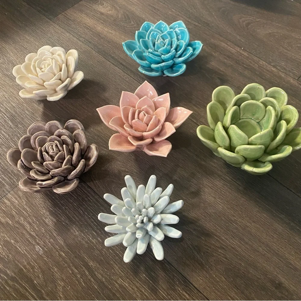 Nordstrom Ceramic Succulents - Picture 2 of 9